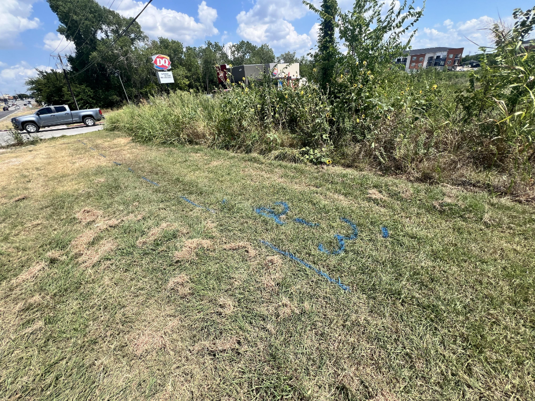 20250802_202715590_iOS