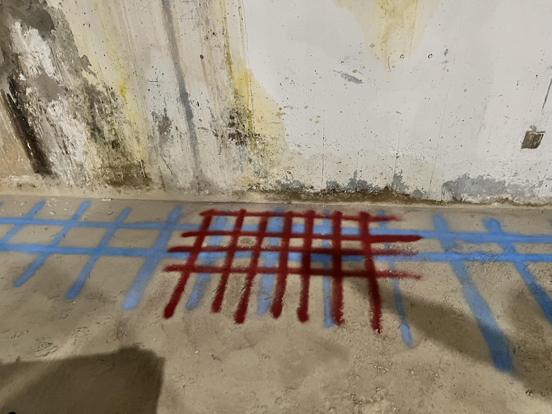 20250825_184531134_iOS