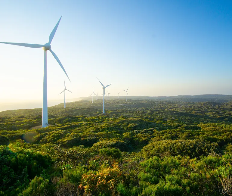 Steel Craft Builders